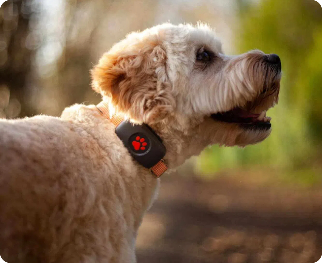 FurPod Image 1